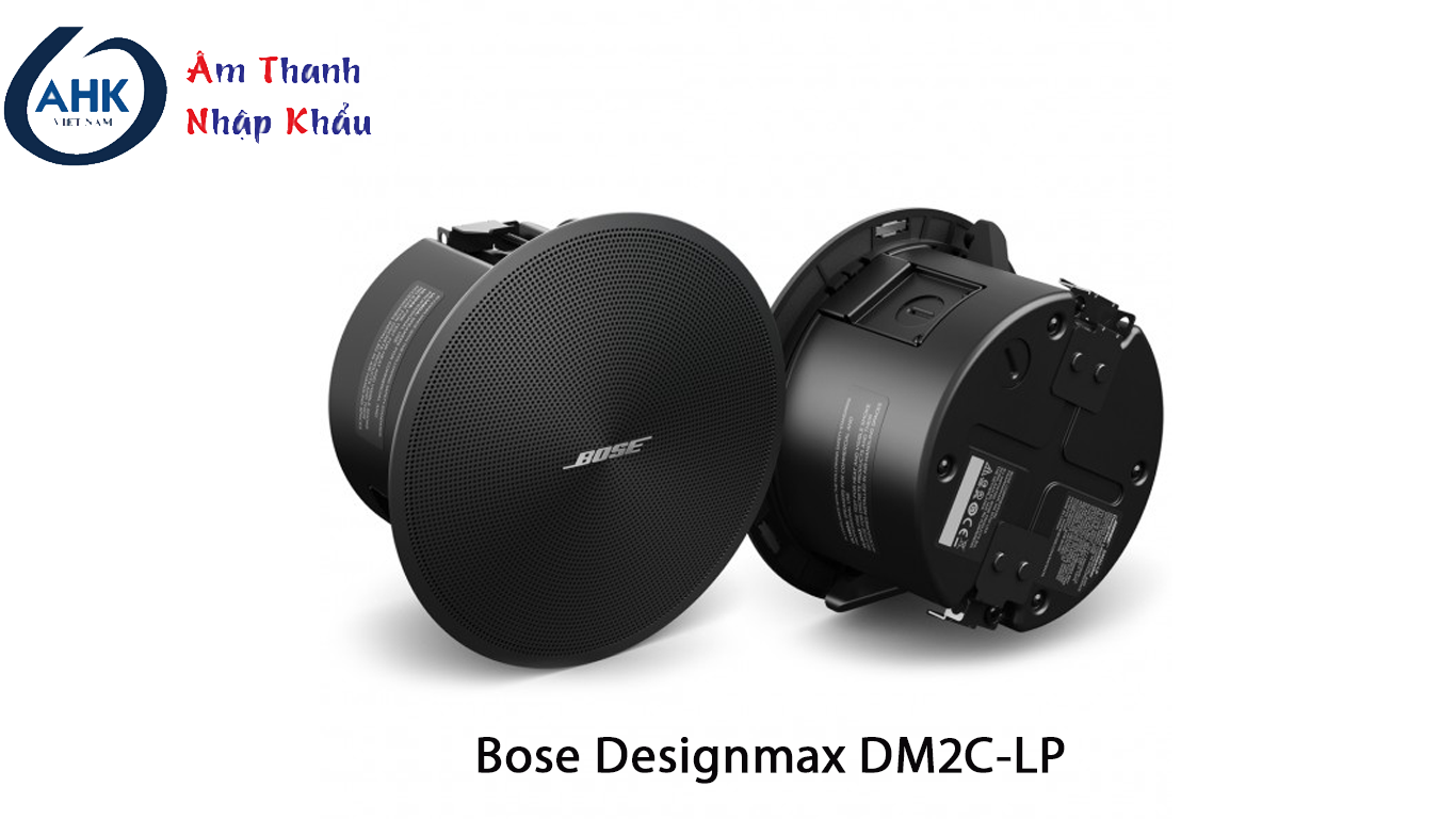 Bose Designmax dm2c lp