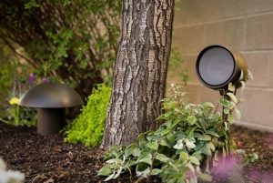 Loa sân vườn Paradigm Garden Oasis 4 cao cấp