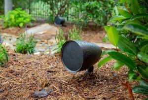 Loa sân vườn Paradigm Garden Oasis 4 giá tốt