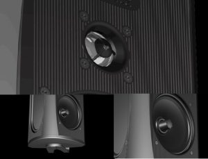 Loa ngoài trời Definitive Technology AW 6500 củ loa cao cấp